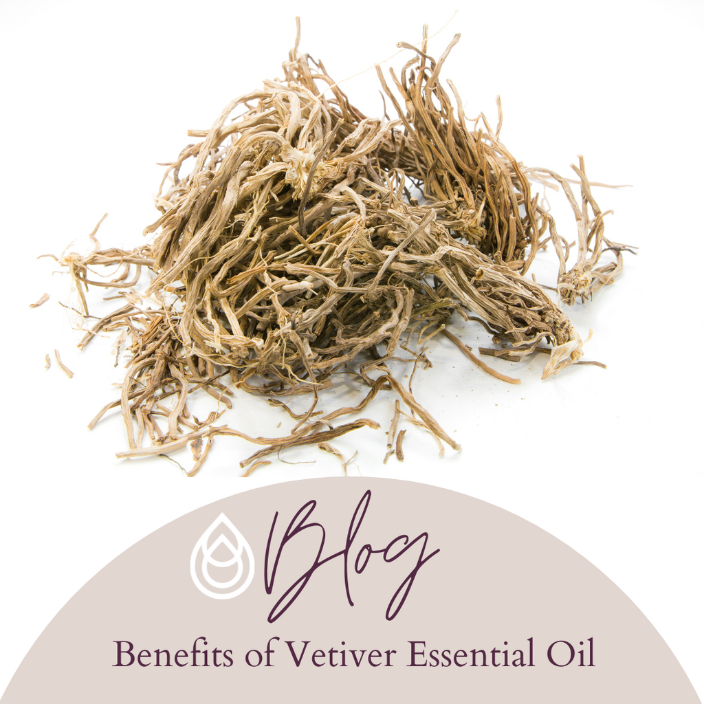 Benefits of Vetiver Essential Oil