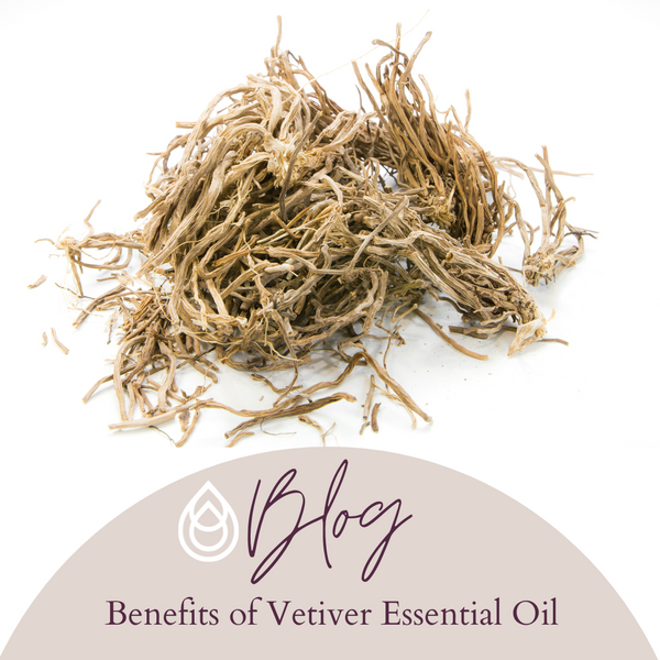 Vetiver deals oil uses