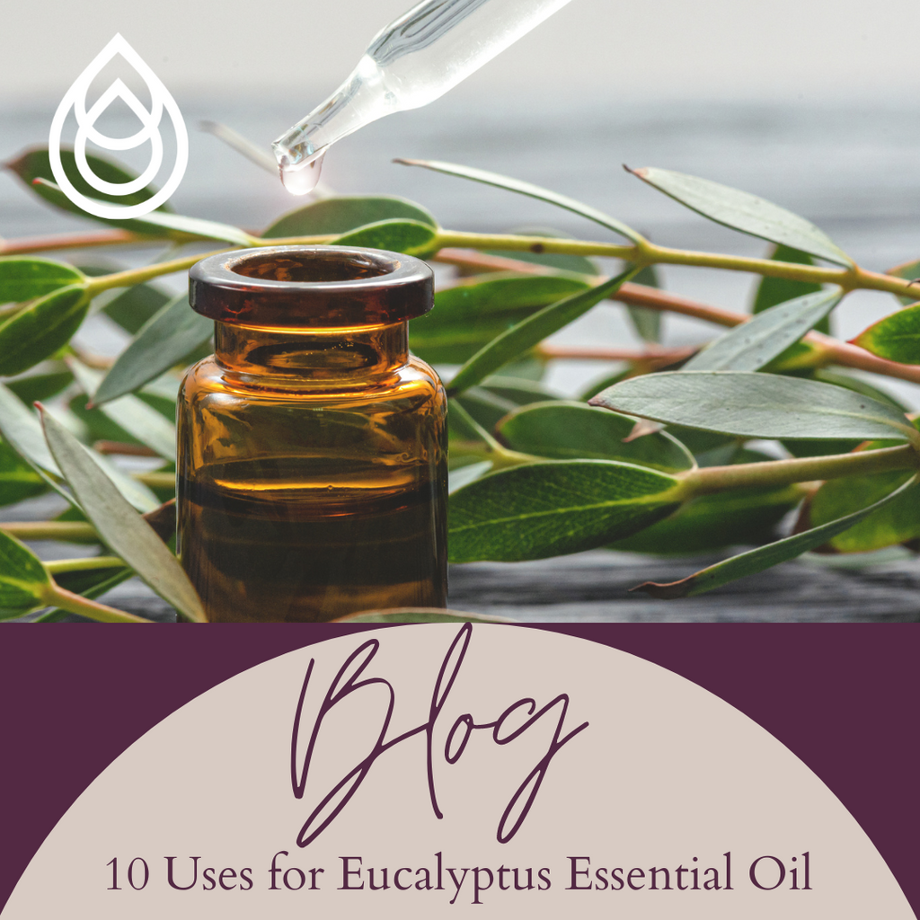 10 Uses for Eucalyptus Essential Oil