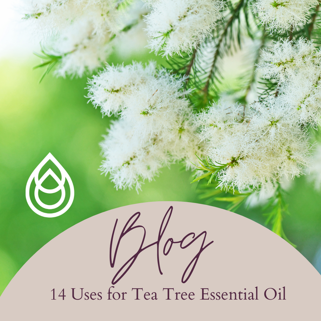 14 Uses for Tea Tree Essential Oil