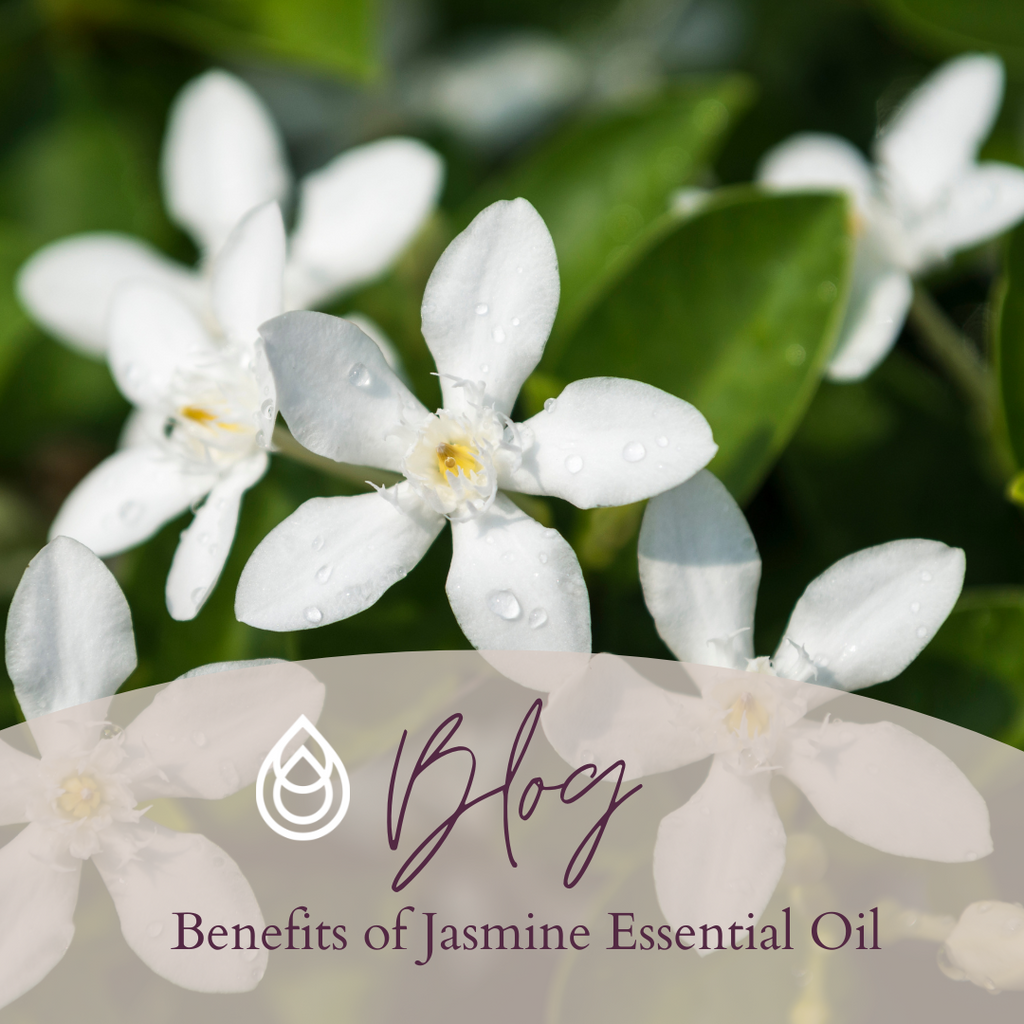 Benefits of Jasmine Essential Oil
