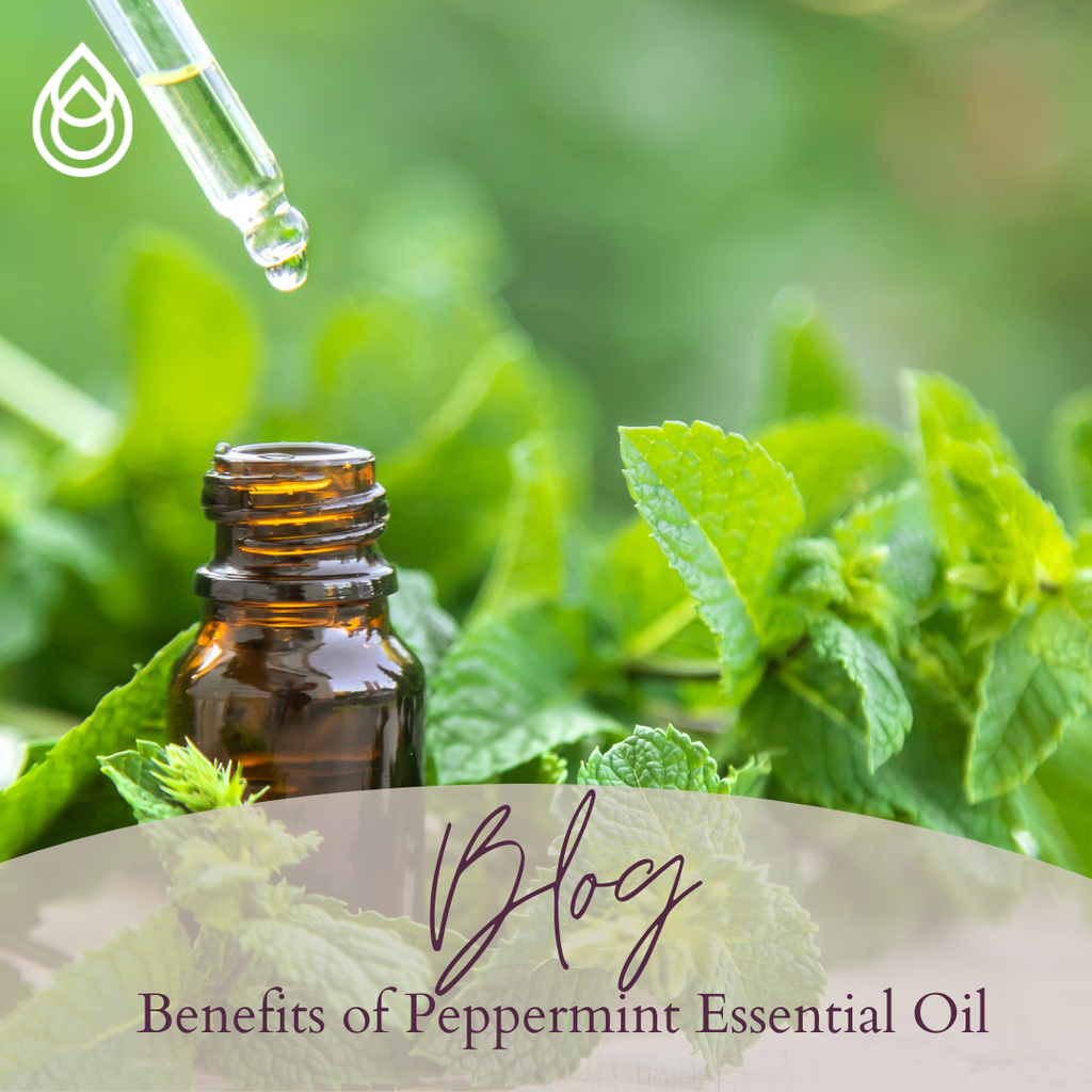 Benefits of Peppermint Essential Oil