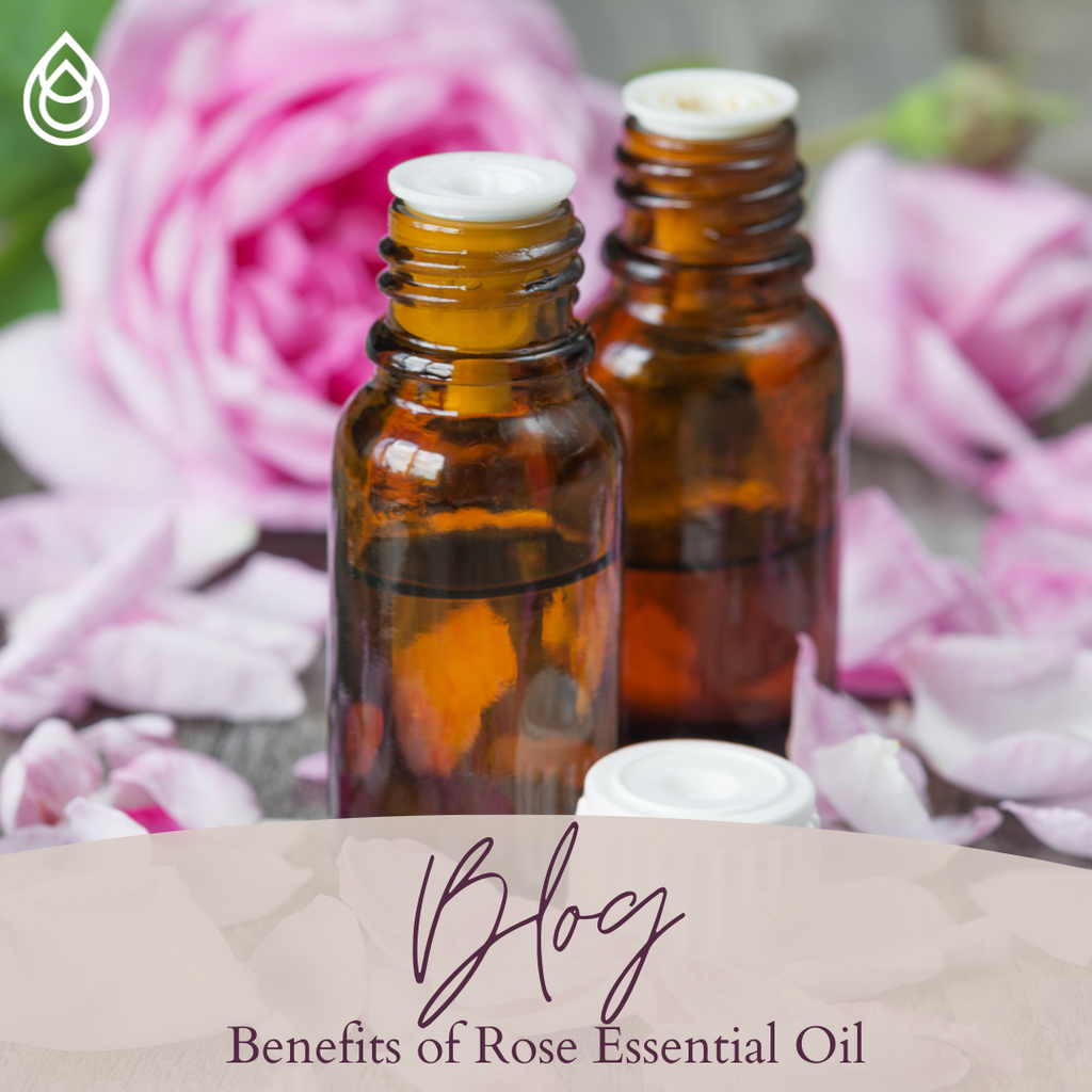 Benefits of Rose Essential Oil