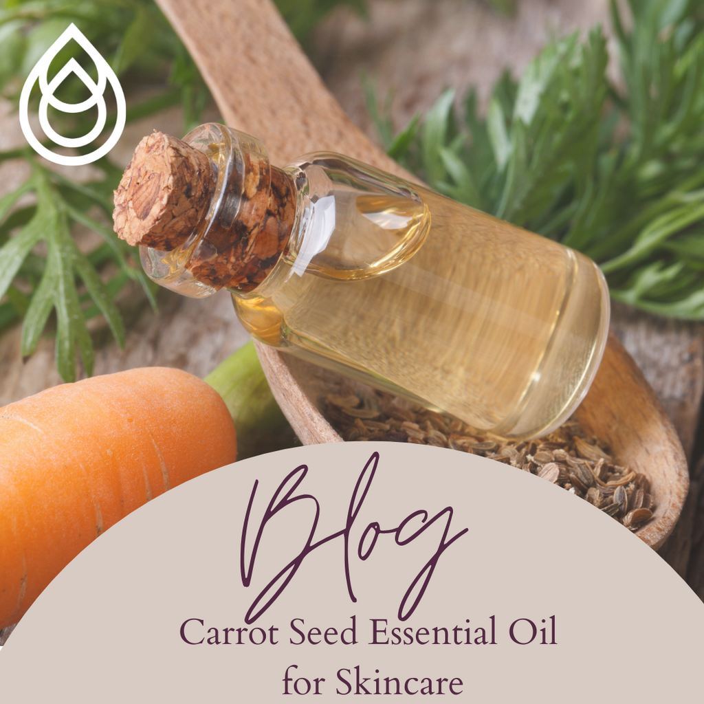 Carrot Seed Oil - For Natural Skin Care Routines