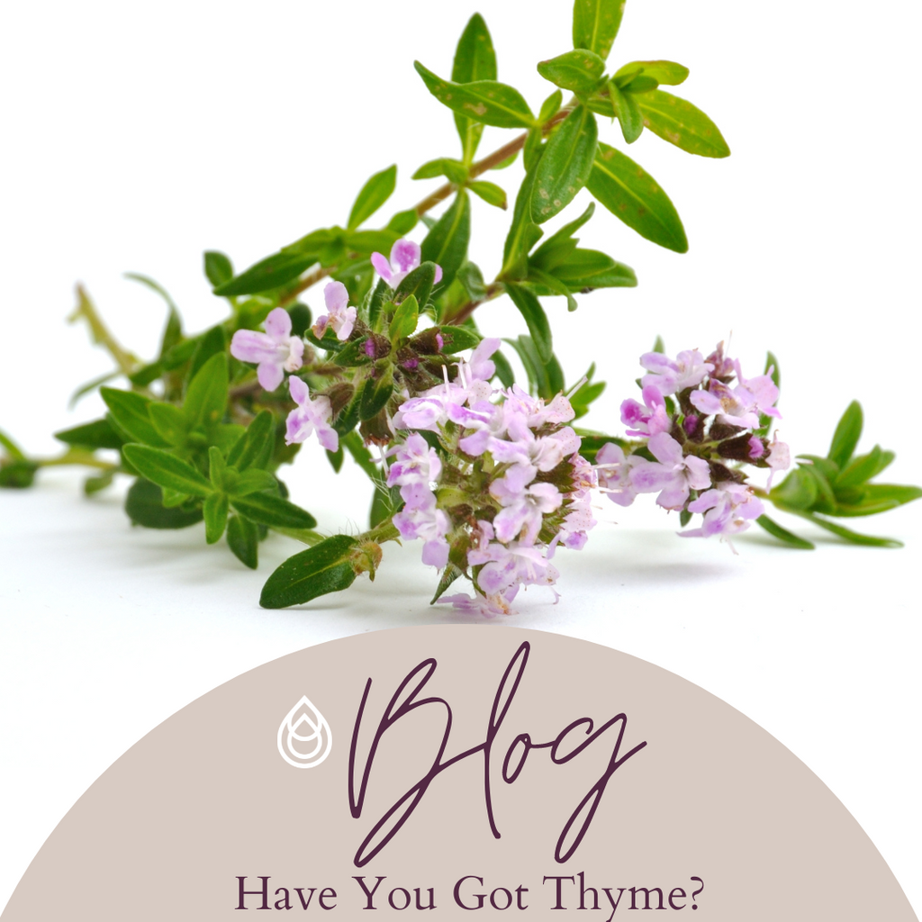 Have You Got Thyme?