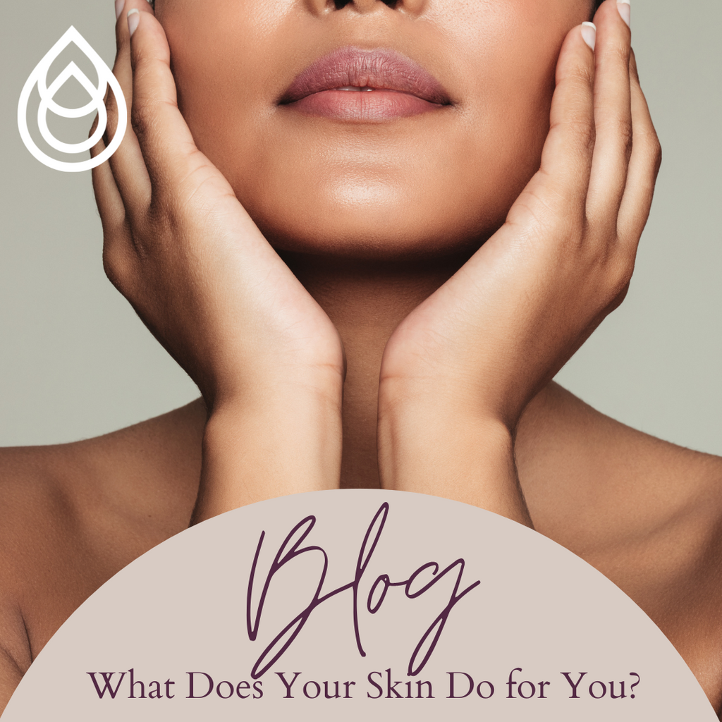 What Does Your Skin Do for You?